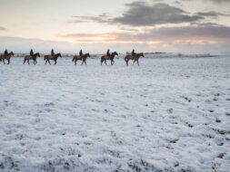 How do I prepare my horse for winter ?